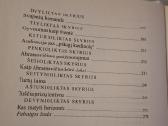 Abramovičius: milijardierius iš niekur - nuotraukos Nr. 4