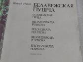 Белавежская пушча - nuotraukos Nr. 2