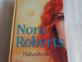 Vidurdienis