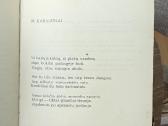 Baltieji raiteliai 1938m. - nuotraukos Nr. 5
