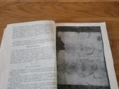 1992 m."laisvės kovų archyvas" - nuotraukos Nr. 3