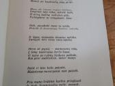 1989 m.l.gudaitis "Benamiai" - nuotraukos Nr. 4