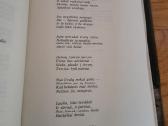 1989 m.l.gudaitis "Benamiai" - nuotraukos Nr. 6