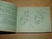Motociklo Kavrovets-175b instrukcijos - nuotraukos Nr. 9