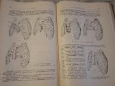 Ortopedijos ir traumatologijos vadovas - nuotraukos Nr. 11