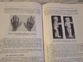 Ortopedijos ir traumatologijos vadovas - nuotraukos Nr. 13