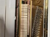 Baltas pianinas - nuotraukos Nr. 7