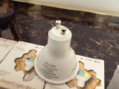 Moes Smart LED lemputes- Matter WiFi