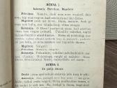 Degtinė. Vienaveiksmis scenos vaizdelis 1910 m. - nuotraukos Nr. 3