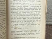Europos Karas 1938 m. - nuotraukos Nr. 4