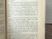 Europos Karas 1938 m. - nuotraukos Nr. 5