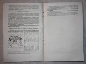 Dažymo ir stiklinimo darbai kaimo statyboje 1956m. - nuotraukos Nr. 6