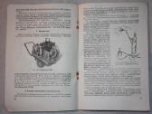 Dažymo ir stiklinimo darbai kaimo statyboje 1956m. - nuotraukos Nr. 5