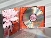 Bjork - Post (CD, Albumas) - nuotraukos Nr. 3