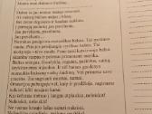 Samprotavimo ir literatūrinis rašinys - nuotraukos Nr. 4
