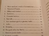 Pilkojo asilo laiškai - nuotraukos Nr. 3