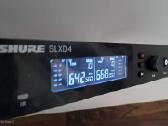 Mikrofonas Shure Slxd24 Ksm11 - nuotraukos Nr. 2