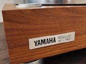 Yamaha R-n2000a ir GT-750 - nuotraukos Nr. 4