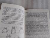 Dirvožemio biologija - nuotraukos Nr. 6