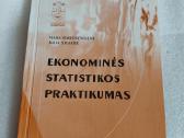 Ekonominės statistikos praktikumas