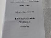Ekonominės statistikos praktikumas - nuotraukos Nr. 2