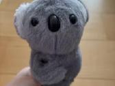 Žaisliukas koala