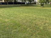 Parduodami sklypai Plungės mieste Kaštonų g. - nuotraukos Nr. 4