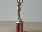 1995 metų vintažinis apdovanojimas - nuotraukos Nr. 2