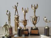1971 Lietuvių dienos vintažinis apdovanojimas - nuotraukos Nr. 8