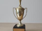 Vintažiniai sporto apdovanojimai (1971–1995) - nuotraukos Nr. 14