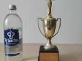 Vintažiniai sporto apdovanojimai (1971–1995) - nuotraukos Nr. 15