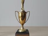 Vintažiniai sporto apdovanojimai (1971–1995) - nuotraukos Nr. 17