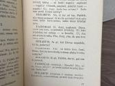 Amerika pirtyje 1937 m. - nuotraukos Nr. 4