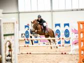 Champion pony