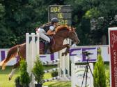 Champion pony - nuotraukos Nr. 2