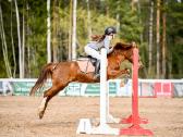 Champion pony - nuotraukos Nr. 6