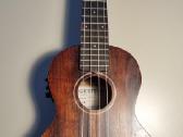 Koncertinė ukulelė Gretch G9110