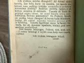 Užčiauptos lūpos 1929 m. - nuotraukos Nr. 6