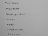 Regina pasakoja savo gyvenimo istoriją - nuotraukos Nr. 3