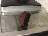 Delonghi Ecam23.450 - nuotraukos Nr. 8
