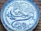 Išskirtinė Sidabrinė Moneta 20 Zlotų