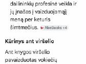 Albumas - nuotraukos Nr. 3
