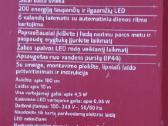 Švečiantis medis - nuotraukos Nr. 3
