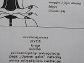 Moteris vyriškame pasaulyje - nuotraukos Nr. 4