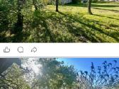 Parduodanas sodo sklypas su nameliu ir ukiniu pas - nuotraukos Nr. 6