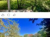 Parduodanas sodo sklypas su nameliu ir ukiniu pas - nuotraukos Nr. 7