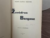 Žuvėdros bangose 1931 m. - nuotraukos Nr. 2