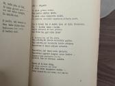 Žuvėdros bangose 1931 m. - nuotraukos Nr. 3