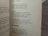Žuvėdros bangose 1931 m. - nuotraukos Nr. 4