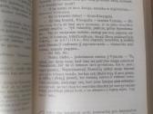 Kazys Puida "Magnus Dux" - nuotraukos Nr. 7